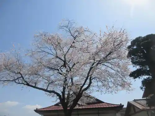 了源寺(群馬県)