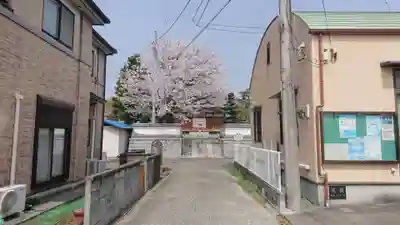 長学寺のその他建物