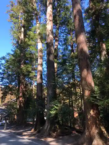 小國神社(静岡県)
