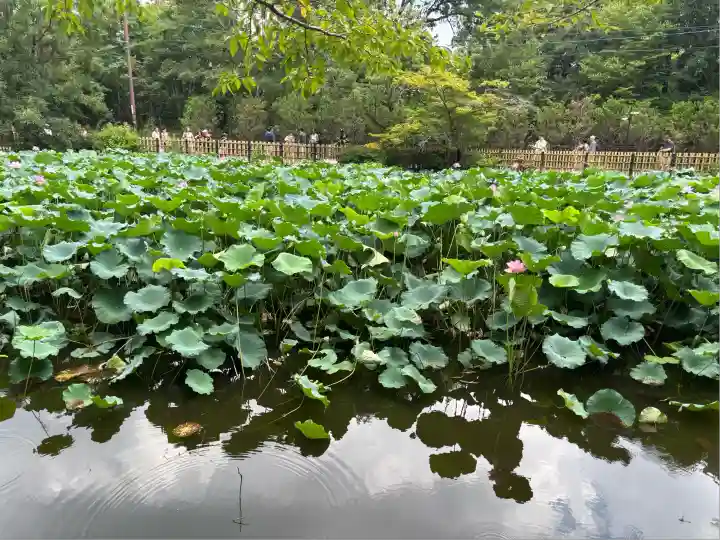 御髪神社の周辺