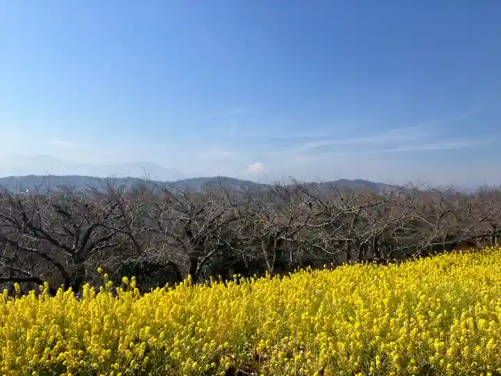 浅間神社(神奈川県)