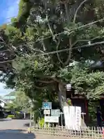 本土寺(千葉県)