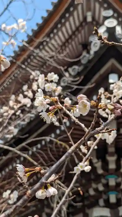 本法寺(京都府)