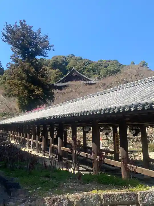 長谷寺(奈良県)