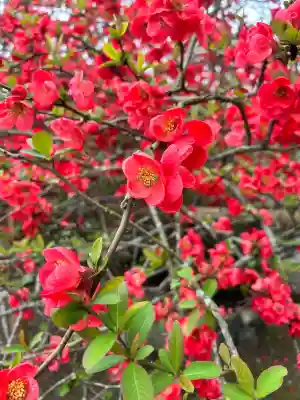 平等院の{uncategorized: "未分類", other: "その他", undefined: "問題あり", building: "その他建物", grave: "お墓", sacred_gate: "鳥居", guardian: "狛犬", statue: "像", buddha: "仏像", history: "歴史", nature: "自然", garden: "庭園", animal: "動物", pagoda: "塔", temizu: "手水舎", mountain_gate: "山門・神門", sanctuary: "本殿・本堂", subordinate: "末社・摂社", art: "芸術", scenery: "景色", jizo: "地蔵", ema: "絵馬", goshuin: "御朱印", omikuji: "おみくじ", items: "授与品その他", amulet: "お守り", goshuincho: "御朱印帳", eats: "食事", festival: "お祭り", votive_dance: "神楽", shichigosan: "七五三参", wedding: "結婚式", experience: "体験その他", initially: "初詣", around: "周辺", anti_infection: "感染症対策"}