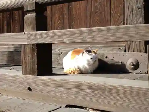 阿邪訶根神社(福島県)