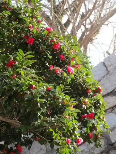 甲宗八幡宮(福岡県)