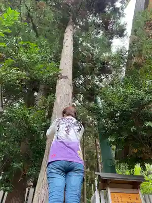 開成山大神宮(福島県)