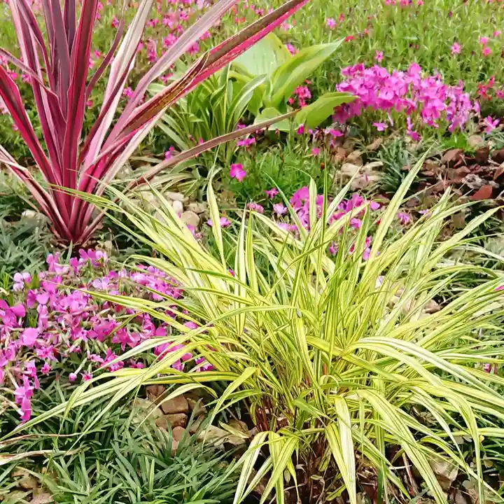 寿量山 速成寺の自然
