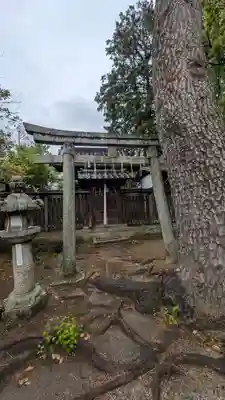御霊神社（上御霊神社）(京都府)
