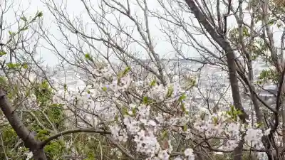 神倉神社（熊野速玉大社摂社）の{uncategorized: "未分類", other: "その他", undefined: "問題あり", building: "その他建物", grave: "お墓", sacred_gate: "鳥居", guardian: "狛犬", statue: "像", buddha: "仏像", history: "歴史", nature: "自然", garden: "庭園", animal: "動物", pagoda: "塔", temizu: "手水舎", mountain_gate: "山門・神門", sanctuary: "本殿・本堂", subordinate: "末社・摂社", art: "芸術", scenery: "景色", jizo: "地蔵", ema: "絵馬", goshuin: "御朱印", omikuji: "おみくじ", items: "授与品その他", amulet: "お守り", goshuincho: "御朱印帳", eats: "食事", festival: "お祭り", votive_dance: "神楽", shichigosan: "七五三参", wedding: "結婚式", experience: "体験その他", initially: "初詣", around: "周辺", anti_infection: "感染症対策"}