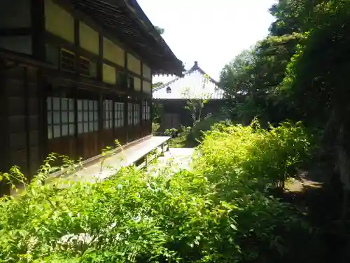 海蔵寺の庭園