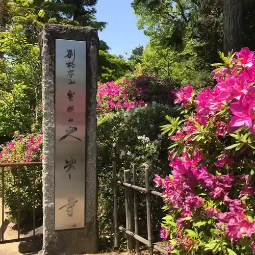 久米寺の庭園