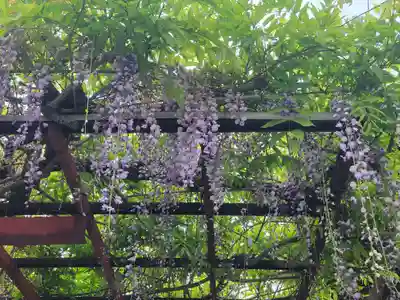 伊豫稲荷神社(愛媛県)