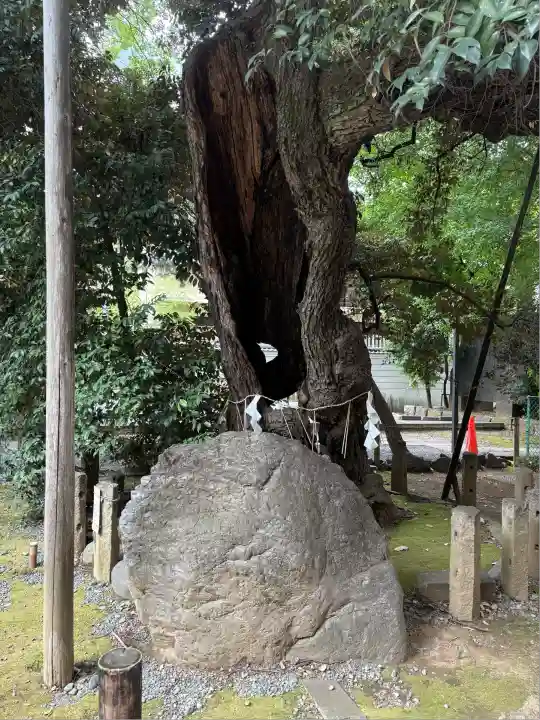 金王八幡宮(東京都)