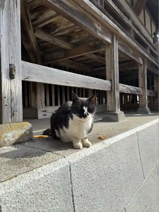 奥氷川神社(東京都)