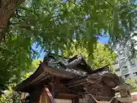 田無神社の{uncategorized: "未分類", other: "その他", undefined: "問題あり", building: "その他建物", grave: "お墓", sacred_gate: "鳥居", guardian: "狛犬", statue: "像", buddha: "仏像", history: "歴史", nature: "自然", garden: "庭園", animal: "動物", pagoda: "塔", temizu: "手水舎", mountain_gate: "山門・神門", sanctuary: "本殿・本堂", subordinate: "末社・摂社", art: "芸術", scenery: "景色", jizo: "地蔵", ema: "絵馬", goshuin: "御朱印", omikuji: "おみくじ", items: "授与品その他", amulet: "お守り", goshuincho: "御朱印帳", eats: "食事", festival: "お祭り", votive_dance: "神楽", shichigosan: "七五三参", wedding: "結婚式", experience: "体験その他", initially: "初詣", around: "周辺", anti_infection: "感染症対策"}