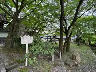 西教寺(滋賀県)
