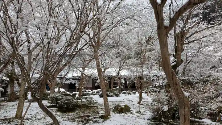 圓光寺(京都府)