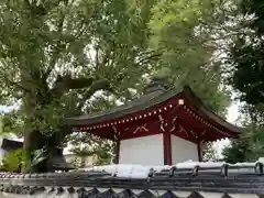 青蓮寺(兵庫県)