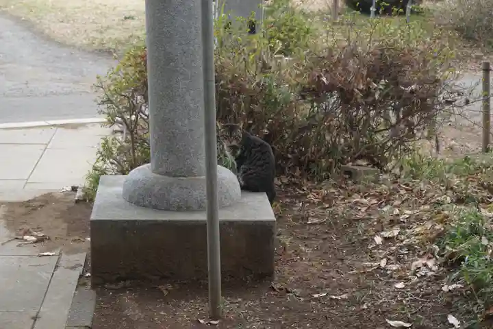 天形星神社のその他建物