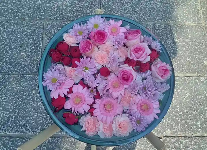 大念佛寺(大阪府)