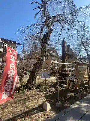 鹿島御児神社(宮城県)