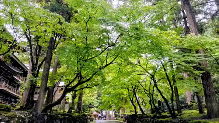 永平寺(福井県)