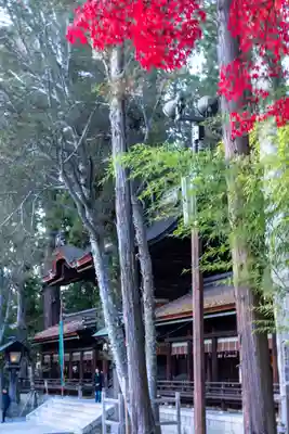 諏訪大社下社秋宮(長野県)