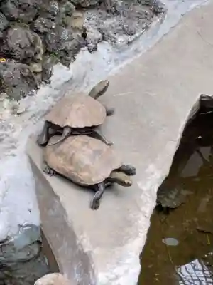 心城院(東京都)