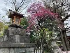 素盞雄神社(東京都)