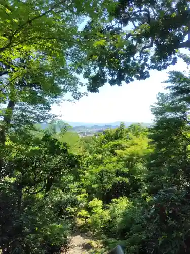 常寂光寺(京都府)