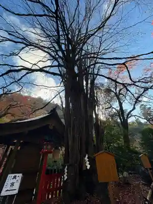 貴船神社(京都府)