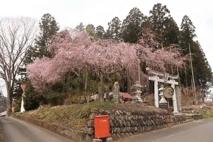 熊野神社の鳥居