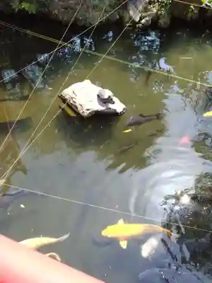 今泉八坂神社(栃木県)