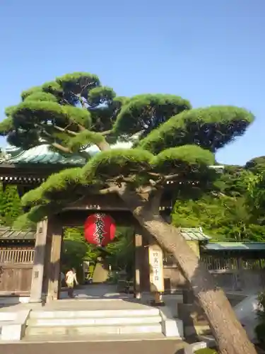 長谷寺の山門