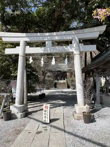 御霊神社(神奈川県)