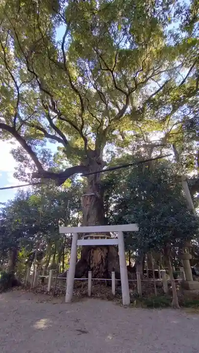 松阪神社(三重県)