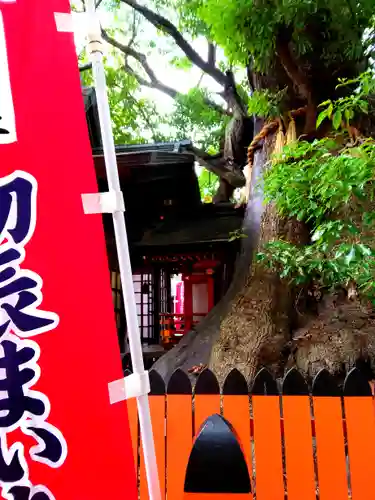 住吉大社(大阪府)