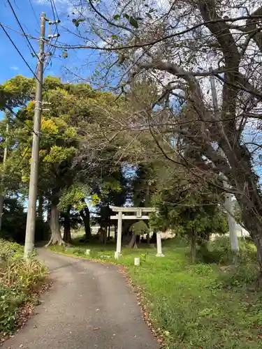 大杉神社(千葉県)