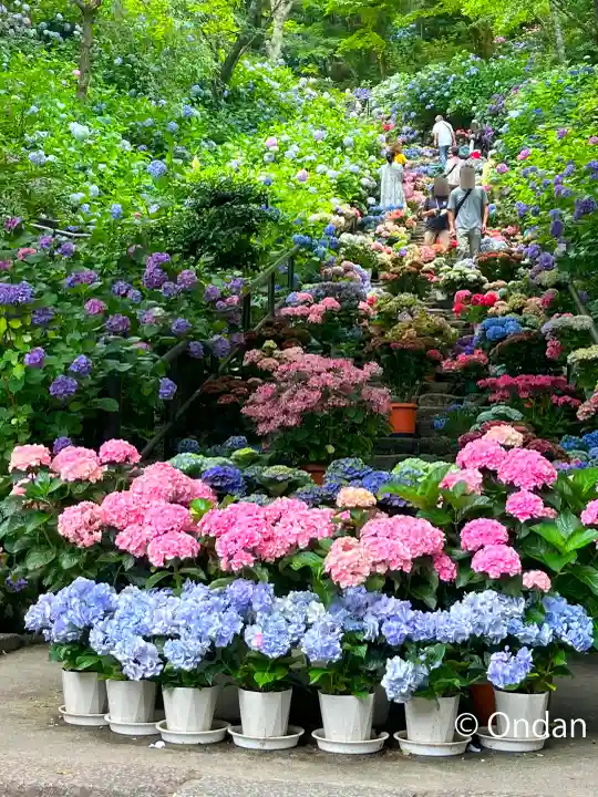 長谷寺(奈良県)