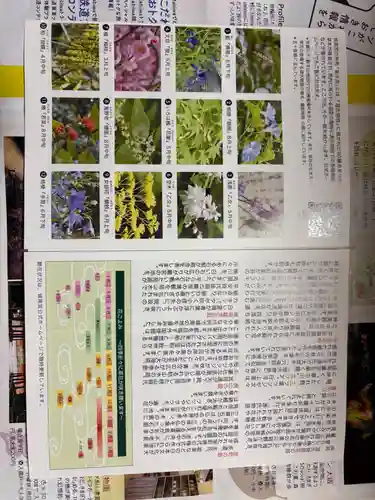 城南宮(京都府)