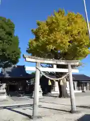 飛鳥神社(愛知県)