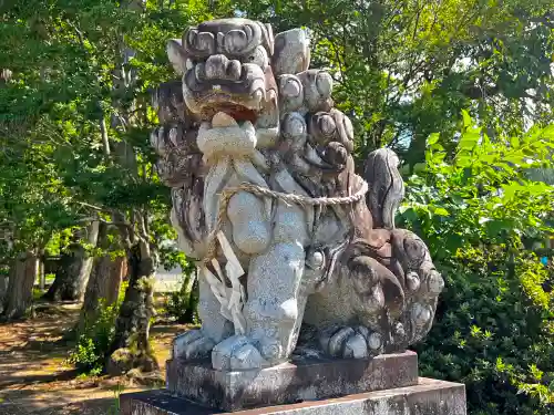 槻本神社の狛犬