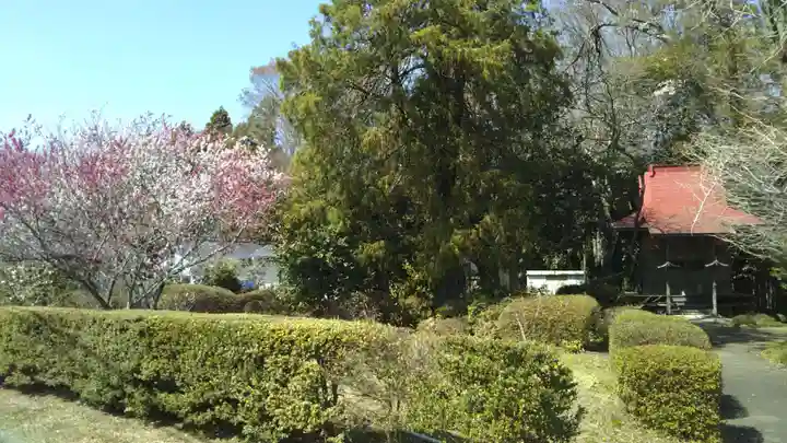 東征神社のその他建物