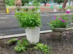 石山神社の自然