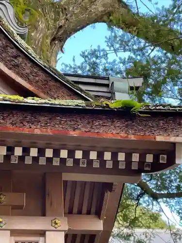 朝護孫子寺(奈良県)