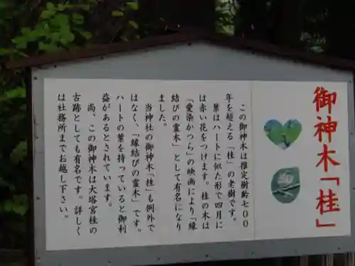 小室浅間神社の歴史