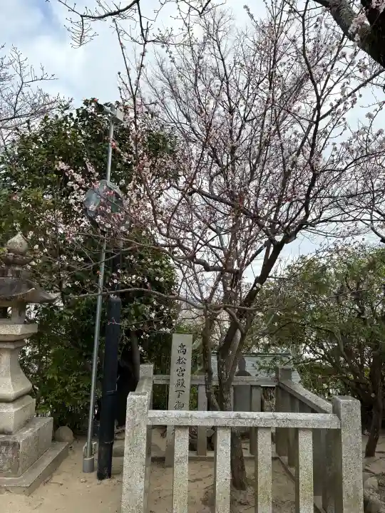 妙光院の{uncategorized: "未分類", other: "その他", undefined: "問題あり", building: "その他建物", grave: "お墓", sacred_gate: "鳥居", guardian: "狛犬", statue: "像", buddha: "仏像", history: "歴史", nature: "自然", garden: "庭園", animal: "動物", pagoda: "塔", temizu: "手水舎", mountain_gate: "山門・神門", sanctuary: "本殿・本堂", subordinate: "末社・摂社", art: "芸術", scenery: "景色", jizo: "地蔵", ema: "絵馬", goshuin: "御朱印", omikuji: "おみくじ", items: "授与品その他", amulet: "お守り", goshuincho: "御朱印帳", eats: "食事", festival: "お祭り", votive_dance: "神楽", shichigosan: "七五三参", wedding: "結婚式", experience: "体験その他", initially: "初詣", around: "周辺", anti_infection: "感染症対策"}