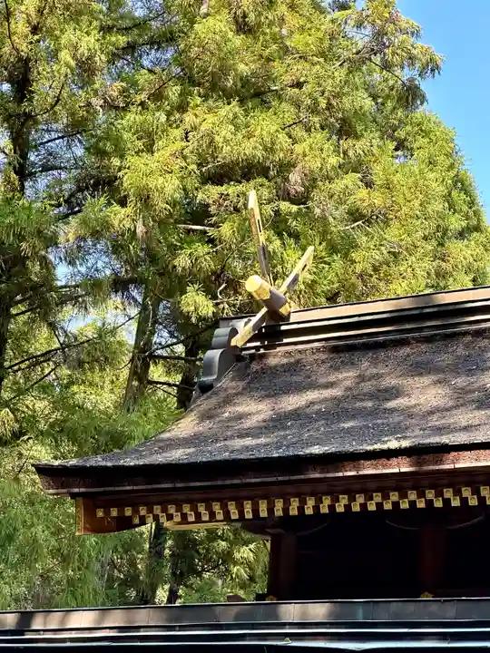 大和神社(奈良県)